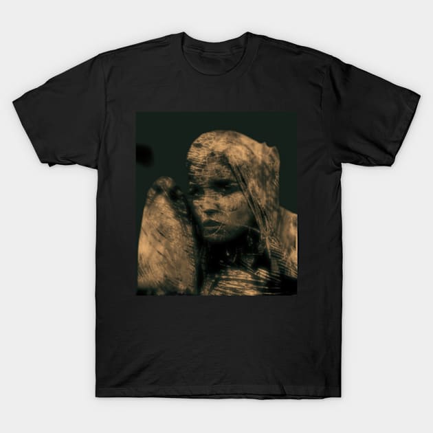 Beautiful girl, warrior with a shield, knight. Dark but beautiful. Yellow, sepia. T-Shirt by 234TeeUser234